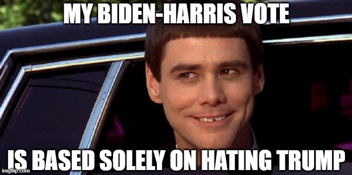 dumb and dumber | MY BIDEN-HARRIS VOTE IS BASED SOLELY ON HATING TRUMP | image tagged in dumb and dumber | made w/ Imgflip meme maker