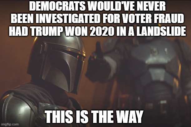 Trump Is The Way | DEMOCRATS WOULD'VE NEVER BEEN INVESTIGATED FOR VOTER FRAUD HAD TRUMP WON 2020 IN A LANDSLIDE; THIS IS THE WAY | image tagged in this is the way,the mandalorian,trump,2020,voter fraud | made w/ Imgflip meme maker