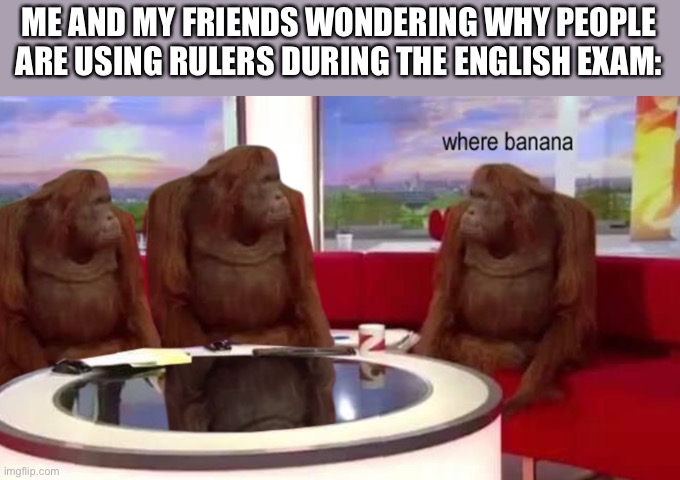 :(|) | ME AND MY FRIENDS WONDERING WHY PEOPLE ARE USING RULERS DURING THE ENGLISH EXAM: | image tagged in monkey | made w/ Imgflip meme maker