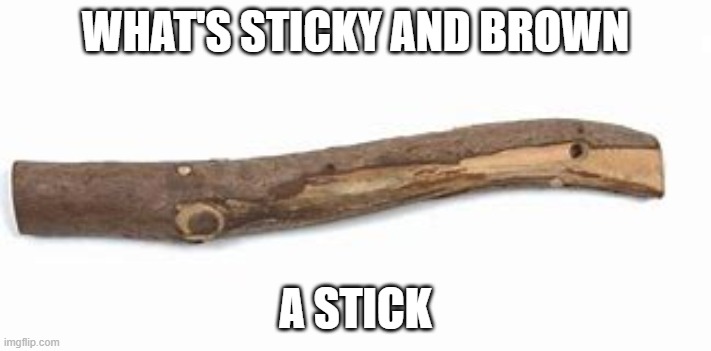 It's funny cuz it sucks | WHAT'S STICKY AND BROWN; A STICK | image tagged in terrible,meme | made w/ Imgflip meme maker