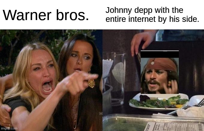 JUSTICE FOR JOHNNY DEPP | Warner bros. Johnny depp with the entire internet by his side. | image tagged in memes,woman yelling at cat | made w/ Imgflip meme maker