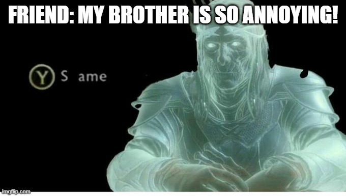 Same | FRIEND: MY BROTHER IS SO ANNOYING! | image tagged in same | made w/ Imgflip meme maker