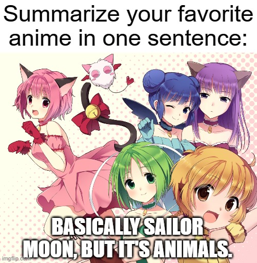 Literally just told someone that yesterday. | Summarize your favorite anime in one sentence:; BASICALLY SAILOR MOON, BUT IT'S ANIMALS. | image tagged in summarize your favorite anime | made w/ Imgflip meme maker