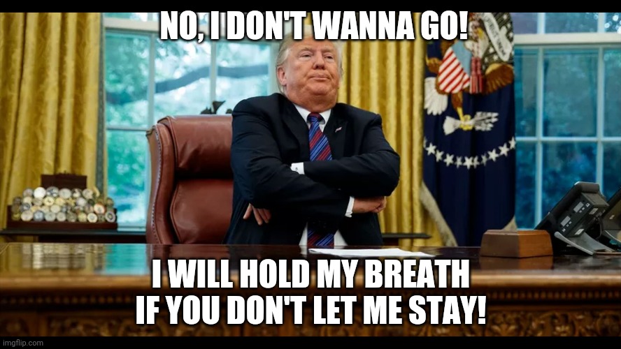 Presidential Tantrum | NO, I DON'T WANNA GO! I WILL HOLD MY BREATH IF YOU DON'T LET ME STAY! | image tagged in donald trump pouting,trump tantrum,election 2020,election,president trump,trump | made w/ Imgflip meme maker