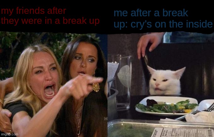 break up's can be sad | my friends after they were in a break up; me after a break up: cry's on the inside | image tagged in memes,woman yelling at cat | made w/ Imgflip meme maker