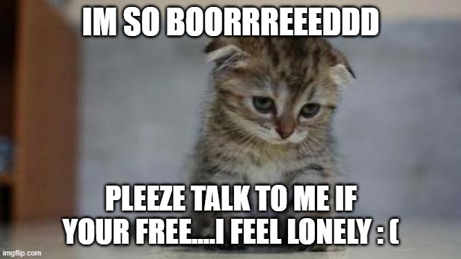 blahhhhh | IM SO BOORRREEEDDD; PLEEZE TALK TO ME IF YOUR FREE....I FEEL LONELY : ( | image tagged in sad kitten | made w/ Imgflip meme maker