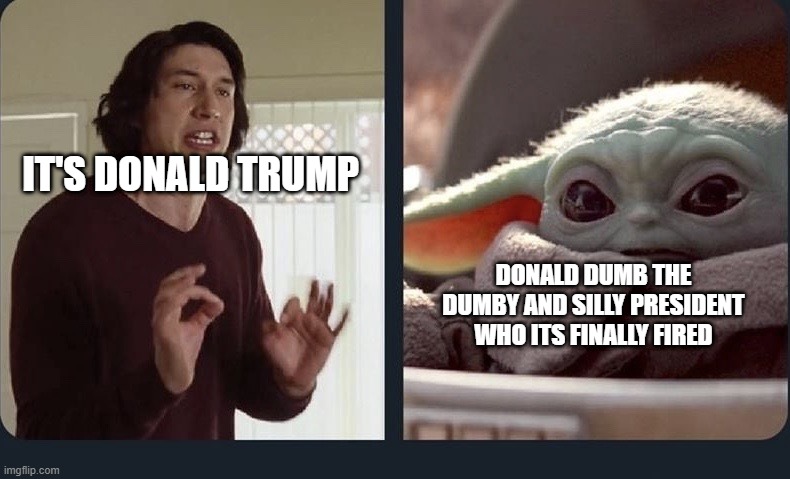 Kylo Ren Baby Yoda | IT'S DONALD TRUMP; DONALD DUMB THE DUMBY AND SILLY PRESIDENT WHO ITS FINALLY FIRED | image tagged in kylo ren baby yoda | made w/ Imgflip meme maker