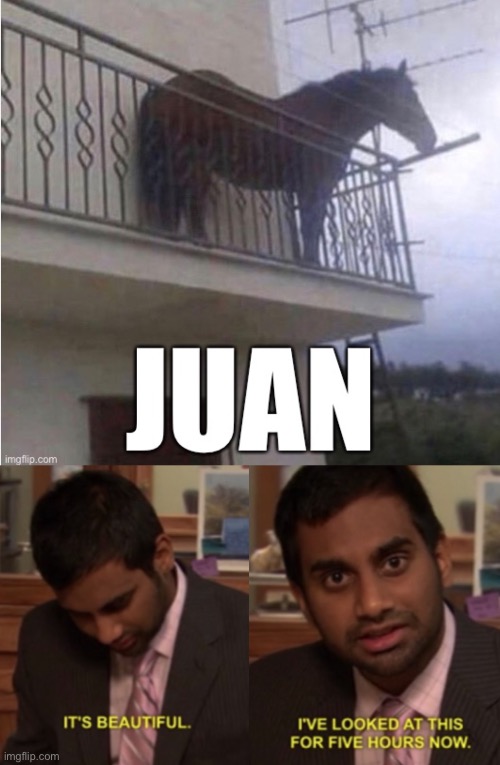 image tagged in i've looked at this for 5 hours now,juan,hlp meh i has ben dronked aawaaaa | made w/ Imgflip meme maker