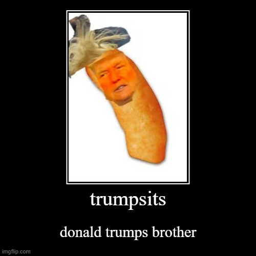 FUNNY TRUMP MEME TRUMP IS CHEETO XD 😂😂😂 SO FUNNY PLEASE SHARE :  r/ComedyCemetery