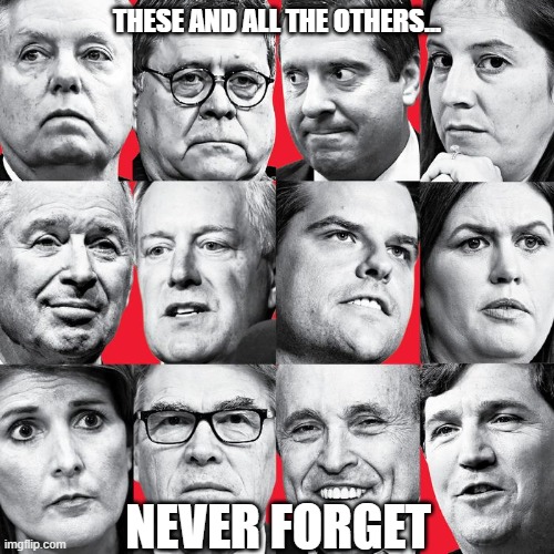 never forget | THESE AND ALL THE OTHERS... NEVER FORGET | image tagged in complicit,enablers,trump,remember,accountable,republicans | made w/ Imgflip meme maker