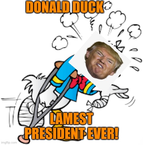 There’s lame ducks and then there’s Donald Duck | DONALD DUCK; LAMEST PRESIDENT EVER! | image tagged in donald trump,election 2020,joe biden,funny,memes,goodbye | made w/ Imgflip meme maker