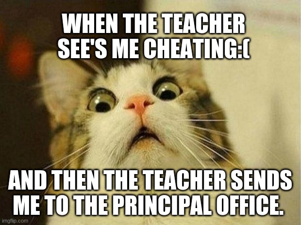 Scared Cat | WHEN THE TEACHER SEE'S ME CHEATING:(; AND THEN THE TEACHER SENDS ME TO THE PRINCIPAL OFFICE. | image tagged in memes,scared cat | made w/ Imgflip meme maker