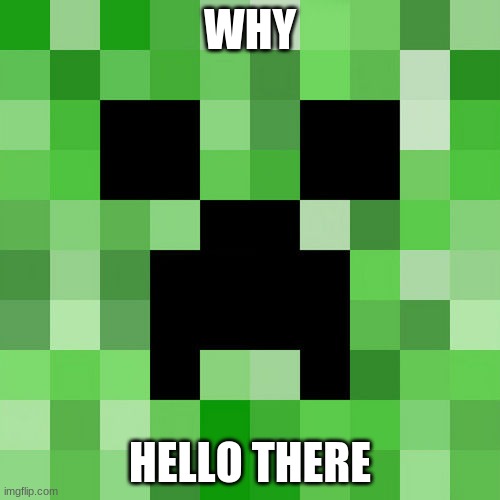 Scumbag Minecraft | WHY; HELLO THERE | image tagged in memes,scumbag minecraft | made w/ Imgflip meme maker