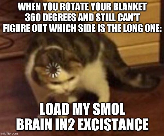 It's true. Everyone does it. | WHEN YOU ROTATE YOUR BLANKET 360 DEGREES AND STILL CAN'T FIGURE OUT WHICH SIDE IS THE LONG ONE:; LOAD MY SMOL BRAIN IN2 EXCISTANCE | image tagged in loading cat | made w/ Imgflip meme maker