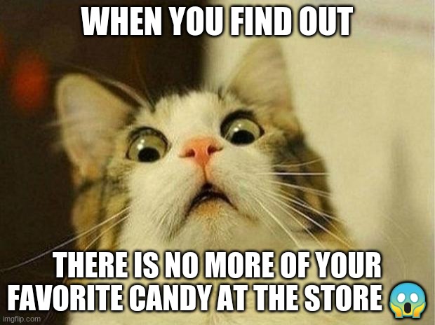 Scared Cat Meme | WHEN YOU FIND OUT; THERE IS NO MORE OF YOUR FAVORITE CANDY AT THE STORE 😱 | image tagged in memes,scared cat | made w/ Imgflip meme maker