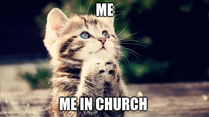 Praying cat | ME; ME IN CHURCH | image tagged in praying cat,funny,memes,cats,animals | made w/ Imgflip meme maker