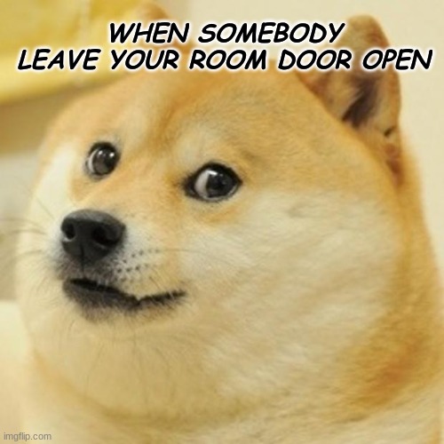 Doge | WHEN SOMEBODY LEAVE YOUR ROOM DOOR OPEN | image tagged in memes,doge | made w/ Imgflip meme maker