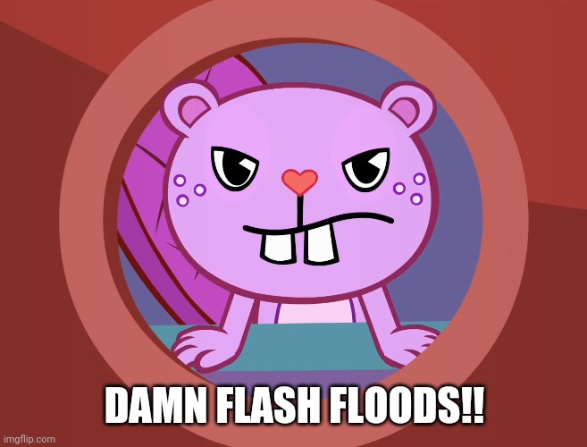 Pissed-Off Toothy (HTF) | DAMN FLASH FLOODS!! | image tagged in pissed-off toothy htf | made w/ Imgflip meme maker