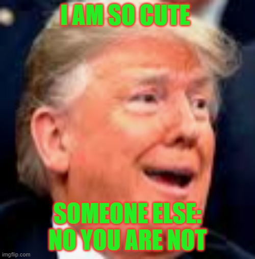 funny trump | I AM SO CUTE; SOMEONE ELSE: NO YOU ARE NOT | image tagged in robin dabank | made w/ Imgflip meme maker