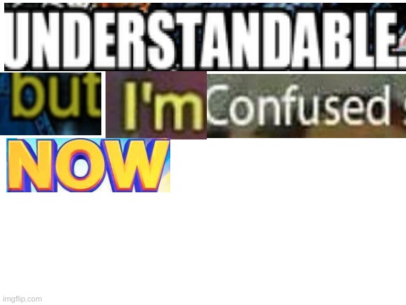 Blank White Template | image tagged in blank white template | made w/ Imgflip meme maker