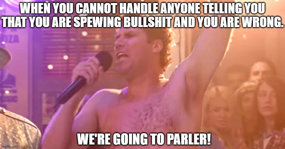 WHEN YOU CANNOT HANDLE ANYONE TELLING YOU THAT YOU ARE SPEWING BULLSHIT AND YOU ARE WRONG. WE'RE GOING TO PARLER! | made w/ Imgflip meme maker