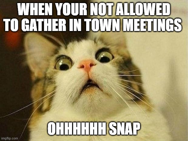 Scared Cat Meme | WHEN YOUR NOT ALLOWED TO GATHER IN TOWN MEETINGS; OHHHHHH SNAP | image tagged in memes,scared cat | made w/ Imgflip meme maker