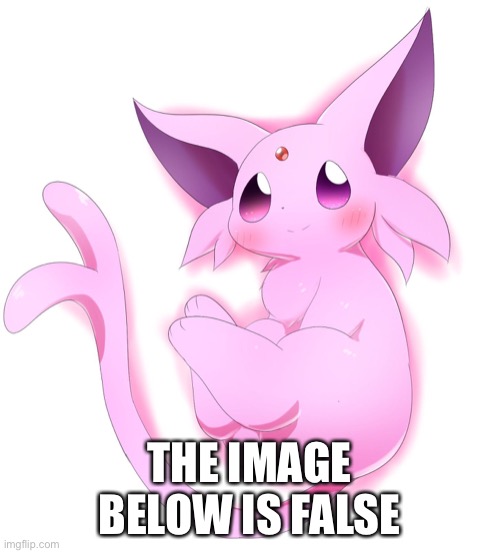 No I do not exist | THE IMAGE BELOW IS FALSE | made w/ Imgflip meme maker