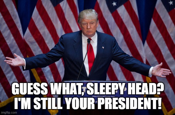 Donald Trump | GUESS WHAT, SLEEPY HEAD?
I'M STILL YOUR PRESIDENT! | image tagged in donald trump | made w/ Imgflip meme maker