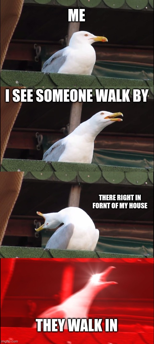 Inhaling Seagull Meme | ME; I SEE SOMEONE WALK BY; THERE RIGHT IN FORNT OF MY HOUSE; THEY WALK IN | image tagged in memes,inhaling seagull | made w/ Imgflip meme maker