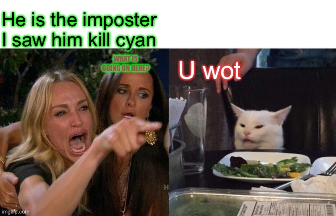 When your in a meeting in among us but your the imposter | He is the imposter I saw him kill cyan; WHAT IS GOING ON HERE? U wot | image tagged in memes,woman yelling at cat | made w/ Imgflip meme maker