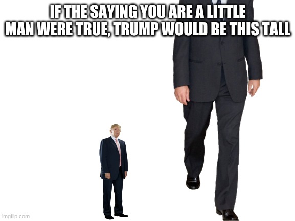 little man | IF THE SAYING YOU ARE A LITTLE MAN WERE TRUE, TRUMP WOULD BE THIS TALL | image tagged in blank white template | made w/ Imgflip meme maker