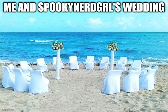 no comments till 11:05 |  ME AND SPOOKYNERDGRL'S WEDDING | image tagged in florida beach wedding - 2019 | made w/ Imgflip meme maker