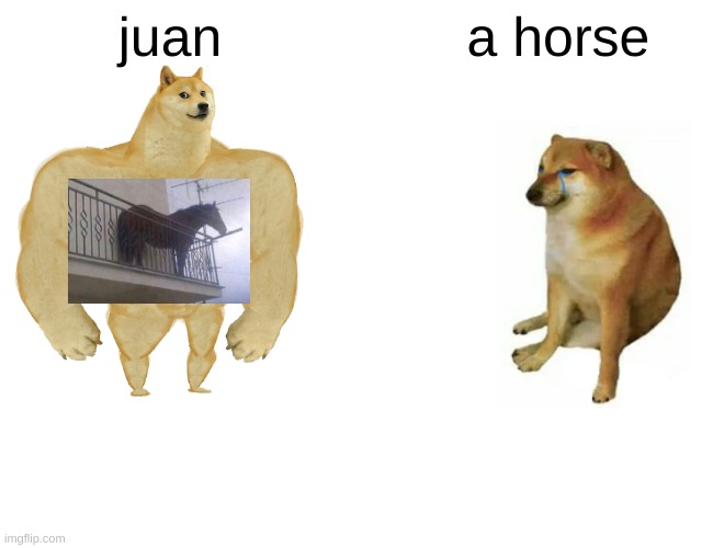 Juan. | juan; a horse | image tagged in memes,buff doge vs cheems | made w/ Imgflip meme maker