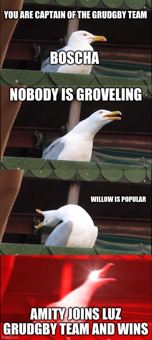 Inhaling Seagull | YOU ARE CAPTAIN OF THE GRUDGBY TEAM; BOSCHA; NOBODY IS GROVELING; WILLOW IS POPULAR; AMITY JOINS LUZ GRUDGBY TEAM AND WINS | image tagged in memes,inhaling seagull | made w/ Imgflip meme maker