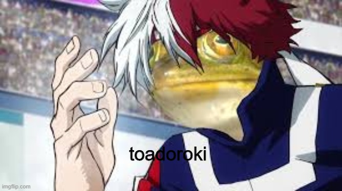 lmao TOADoroki | toadoroki | image tagged in todoroki | made w/ Imgflip meme maker