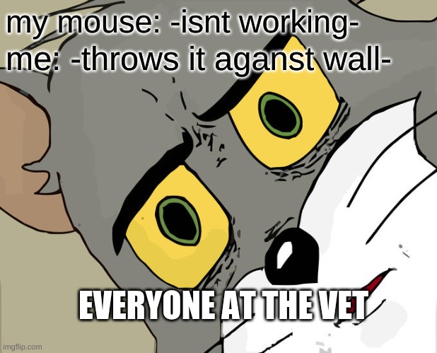 Unsettled Tom Meme | my mouse: -isnt working-; me: -throws it aganst wall-; EVERYONE AT THE VET | image tagged in memes,unsettled tom | made w/ Imgflip meme maker