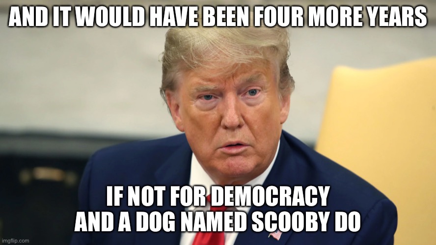 Trumped | AND IT WOULD HAVE BEEN FOUR MORE YEARS; IF NOT FOR DEMOCRACY AND A DOG NAMED SCOOBY DO | image tagged in donald trump,democracy | made w/ Imgflip meme maker