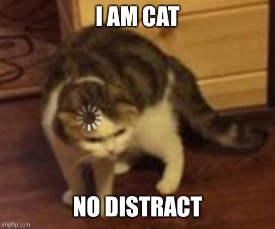 Lol | I AM CAT; NO DISTRACT | image tagged in loading cat | made w/ Imgflip meme maker