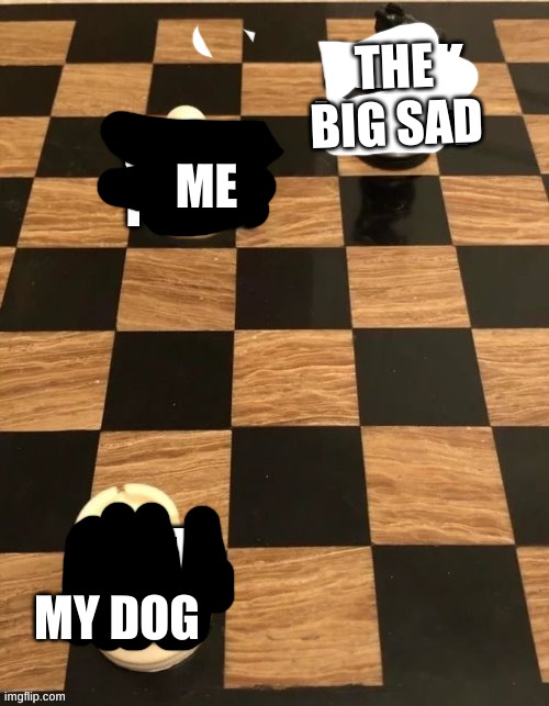 THE BIG SAD; ME; MY DOG | image tagged in memes | made w/ Imgflip meme maker