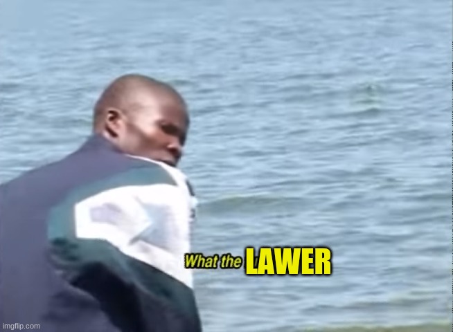what the LaWeR | LAWER | image tagged in what the fu-,lawyers | made w/ Imgflip meme maker