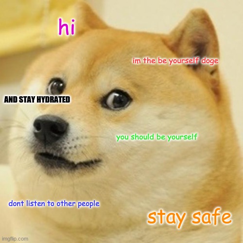 be yourself | hi; im the be yourself doge; AND STAY HYDRATED; you should be yourself; dont listen to other people; stay safe | image tagged in memes,doge | made w/ Imgflip meme maker