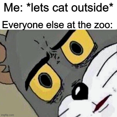 Disturbed Tom |  Everyone else at the zoo:; Me: *lets cat outside* | image tagged in disturbed tom | made w/ Imgflip meme maker