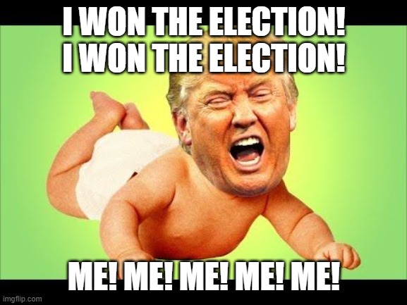 You lost.... get over it! | I WON THE ELECTION! I WON THE ELECTION! ME! ME! ME! ME! ME! | image tagged in spoiled brat | made w/ Imgflip meme maker