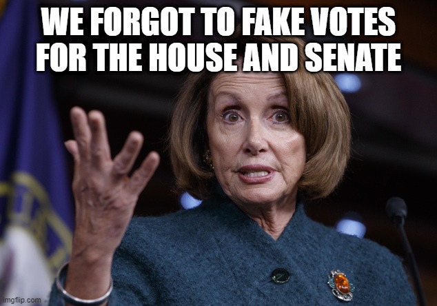 Good old Nancy Pelosi | WE FORGOT TO FAKE VOTES FOR THE HOUSE AND SENATE | image tagged in good old nancy pelosi | made w/ Imgflip meme maker