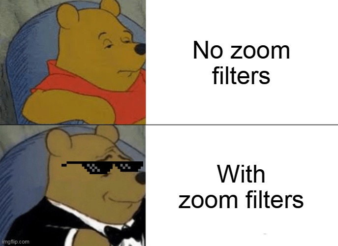 animal zoom filters
