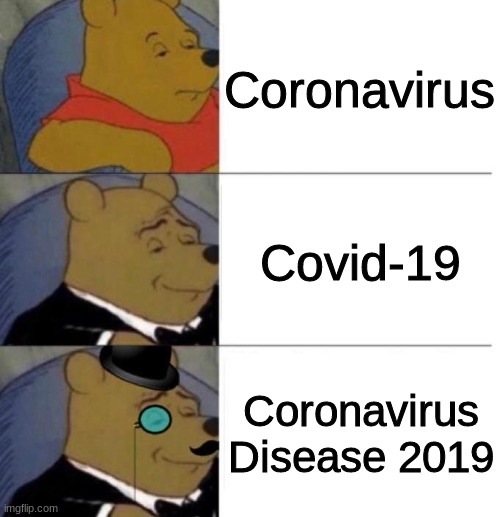 ?ℴ?ℴ??????? ???ℯ??ℯ | Coronavirus; Covid-19; Coronavirus Disease 2019 | image tagged in tuxedo winnie the pooh 3 panel,covid 19,coronavirus,coronavirus disease 2019,memes,funny | made w/ Imgflip meme maker