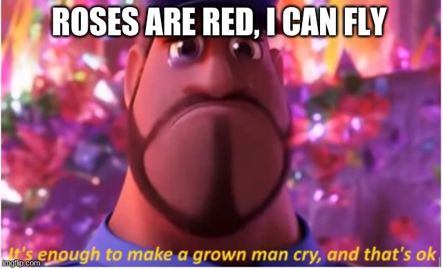 its enough to make a grown man cry | ROSES ARE RED, I CAN FLY | image tagged in memes | made w/ Imgflip meme maker