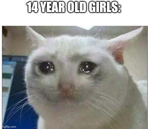 crying cat | 14 YEAR OLD GIRLS: | image tagged in crying cat | made w/ Imgflip meme maker
