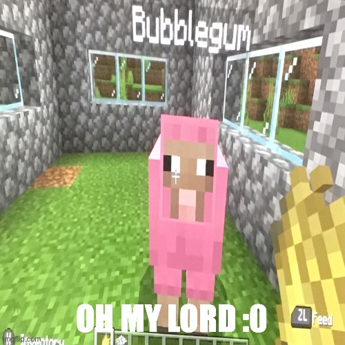 Pink sheep :0000 | OH MY LORD :0 | image tagged in minecraft | made w/ Imgflip meme maker