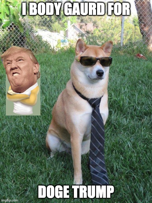 Doge Trump | I BODY GAURD FOR; DOGE TRUMP | image tagged in business doge,donald trump,trump,trump bill signing | made w/ Imgflip meme maker